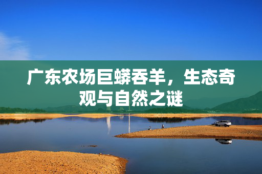 广东农场巨蟒吞羊，生态奇观与自然之谜