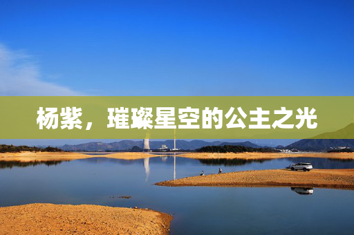 杨紫，璀璨星空的公主之光