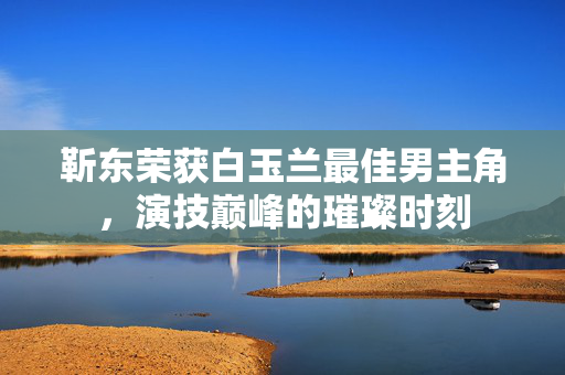 靳东荣获白玉兰最佳男主角，演技巅峰的璀璨时刻