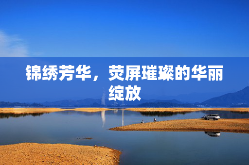 锦绣芳华，荧屏璀璨的华丽绽放