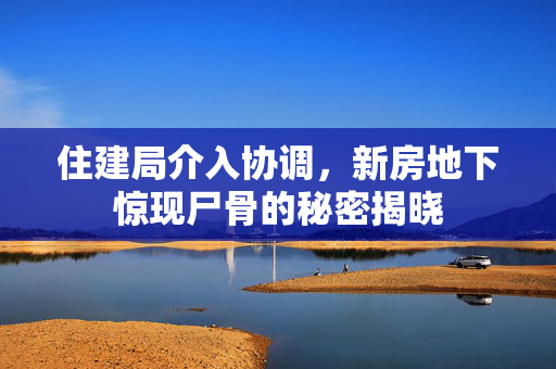 住建局介入协调，新房地下惊现尸骨的秘密揭晓
