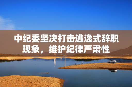 中纪委坚决打击逃逸式辞职现象，维护纪律严肃性