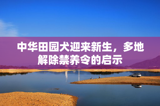 中华田园犬迎来新生，多地解除禁养令的启示