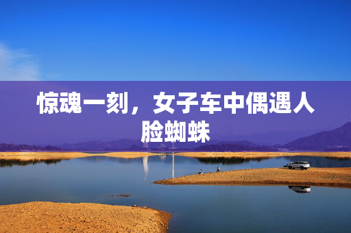 惊魂一刻，女子车中偶遇人脸蜘蛛