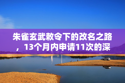 朱雀玄武敕令下的改名之路，13个月内申请11次的深度解析