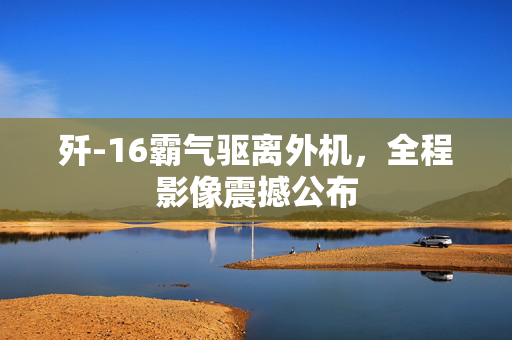 歼-16霸气驱离外机，全程影像震撼公布