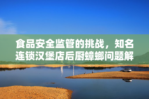 食品安全监管的挑战，知名连锁汉堡店后厨蟑螂问题解析