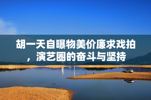 胡一天自曝物美价廉求戏拍，演艺圈的奋斗与坚持