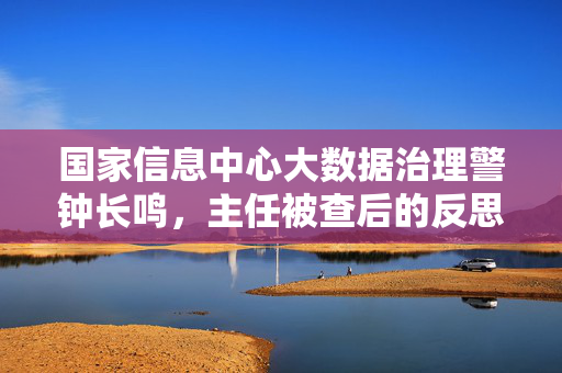 国家信息中心大数据治理警钟长鸣，主任被查后的反思与行动指南