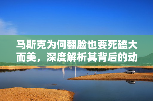 马斯克为何翻脸也要死磕大而美，深度解析其背后的动机与战略考量