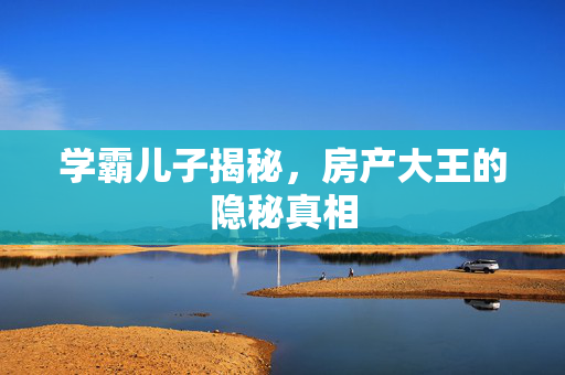 学霸儿子揭秘，房产大王的隐秘真相