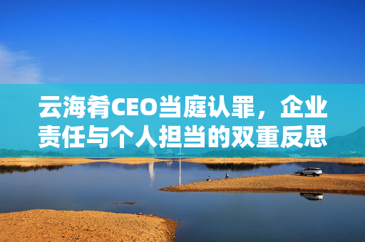 云海肴CEO当庭认罪，企业责任与个人担当的双重反思