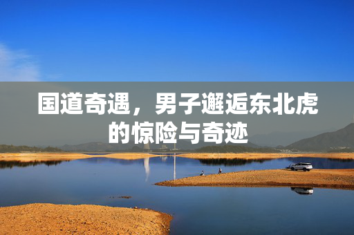 国道奇遇，男子邂逅东北虎的惊险与奇迹