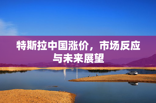 特斯拉中国涨价，市场反应与未来展望