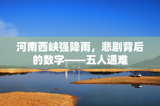 河南西峡强降雨，悲剧背后的数字——五人遇难