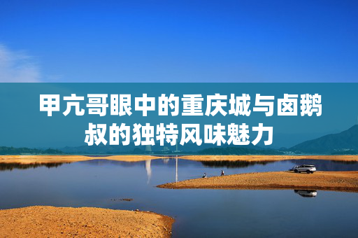 甲亢哥眼中的重庆城与卤鹅叔的独特风味魅力