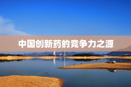 中国创新药的竞争力之源