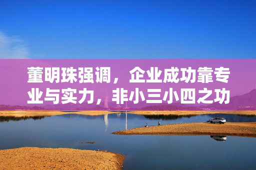 董明珠强调，企业成功靠专业与实力，非小三小四之功
