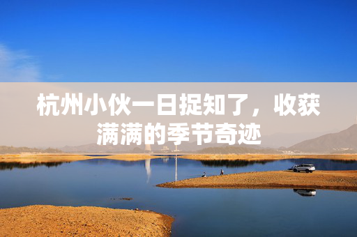 杭州小伙一日捉知了，收获满满的季节奇迹