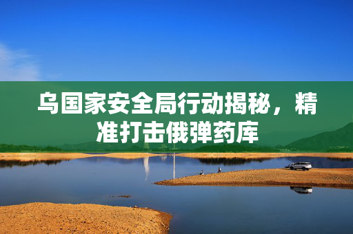 乌国家安全局行动揭秘，精准打击俄弹药库