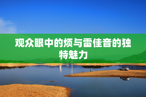 观众眼中的烦与雷佳音的独特魅力