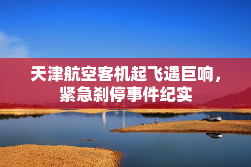 天津航空客机起飞遇巨响，紧急刹停事件纪实