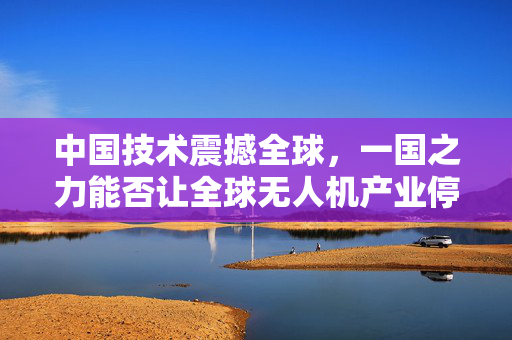 中国技术震撼全球，一国之力能否让全球无人机产业停摆一年？