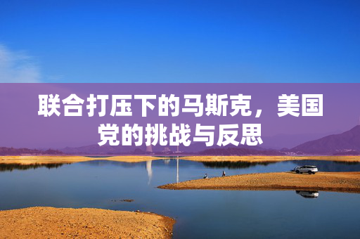 联合打压下的马斯克，美国党的挑战与反思