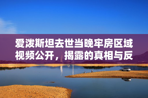 爱泼斯坦去世当晚牢房区域视频公开，揭露的真相与反思