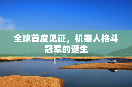全球首度见证，机器人格斗冠军的诞生