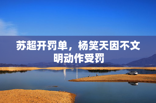 苏超开罚单，杨笑天因不文明动作受罚