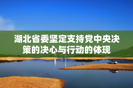 湖北省委坚定支持党中央决策的决心与行动的体现