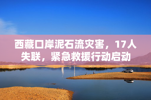 西藏口岸泥石流灾害，17人失联，紧急救援行动启动