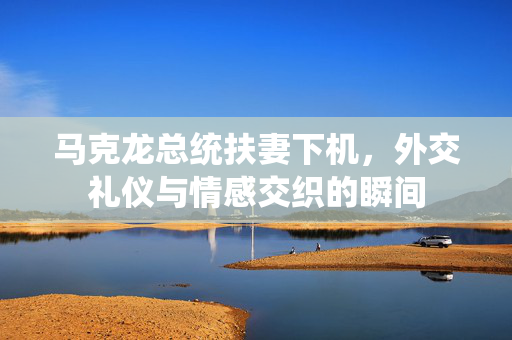 马克龙总统扶妻下机，外交礼仪与情感交织的瞬间