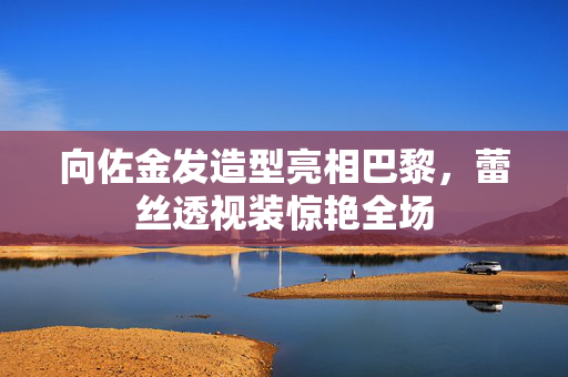 向佐金发造型亮相巴黎，蕾丝透视装惊艳全场