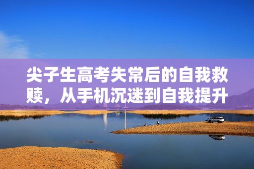 尖子生高考失常后的自我救赎，从手机沉迷到自我提升的蜕变