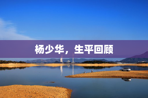 杨少华，生平回顾
