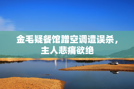 金毛疑餐馆蹭空调遭误杀，主人悲痛欲绝