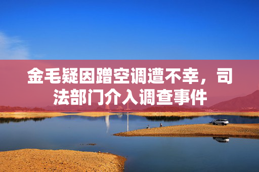 金毛疑因蹭空调遭不幸，司法部门介入调查事件