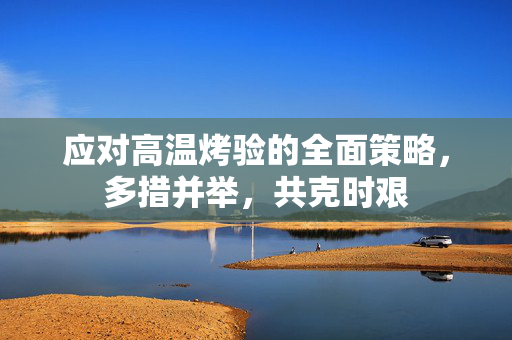 应对高温烤验的全面策略，多措并举，共克时艰