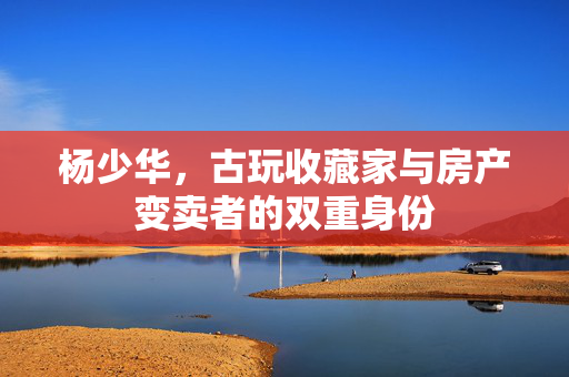 杨少华，古玩收藏家与房产变卖者的双重身份