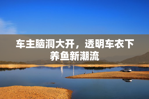 车主脑洞大开，透明车衣下养鱼新潮流