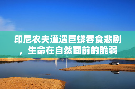 印尼农夫遭遇巨蟒吞食悲剧，生命在自然面前的脆弱