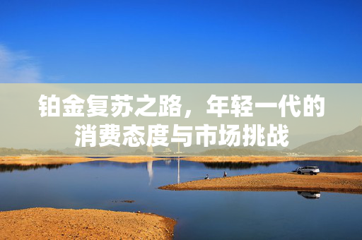 铂金复苏之路，年轻一代的消费态度与市场挑战