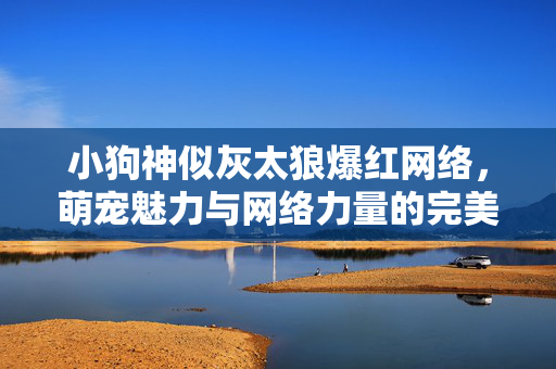 小狗神似灰太狼爆红网络，萌宠魅力与网络力量的完美碰撞
