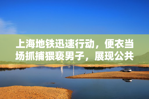 上海地铁迅速行动，便衣当场抓捕猥亵男子，展现公共交通治安新气象