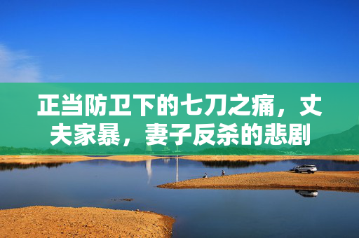 正当防卫下的七刀之痛，丈夫家暴，妻子反杀的悲剧
