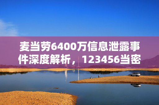 麦当劳6400万信息泄露事件深度解析，123456当密码之患