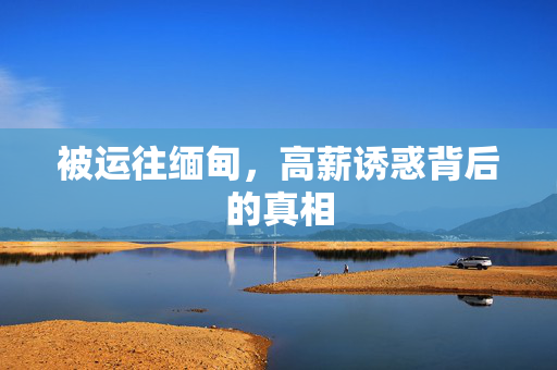 被运往缅甸，高薪诱惑背后的真相
