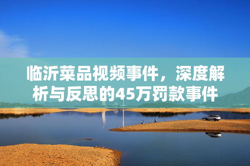 临沂菜品视频事件，深度解析与反思的45万罚款事件
